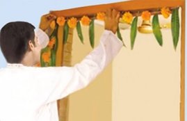 Mango Leaf, Mango Leaf facts, Mango Leaf on door, Mango Leaf at home, Mango Leaf in house, Mango Leaf for worship, Mango Leaf for puja, Mango, Mango Leaf in havan, religion news