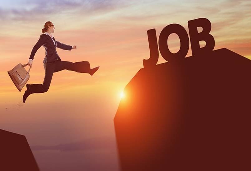 Bihar Govt Jobs, Govt Jobs, Bihar Government Jobs, SSUPSW Jobs, Govt Jobs Update, SSUPSW Jobs Apply, Jansatta News, Job News, Education News, Hindi News