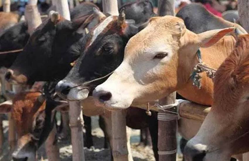 प्रतीकात्मक तस्वीर प्रतीकात्मक तस्वीर