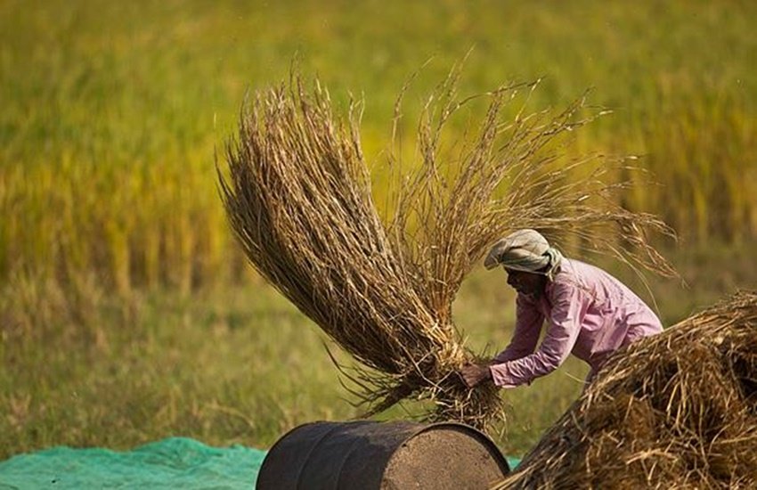 तस्वीर का इस्तेमाल प्रतीकात्मक तौर पर किया गया है। (Photo: AP)