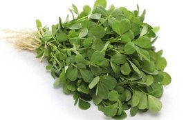fenugreek leaves, health