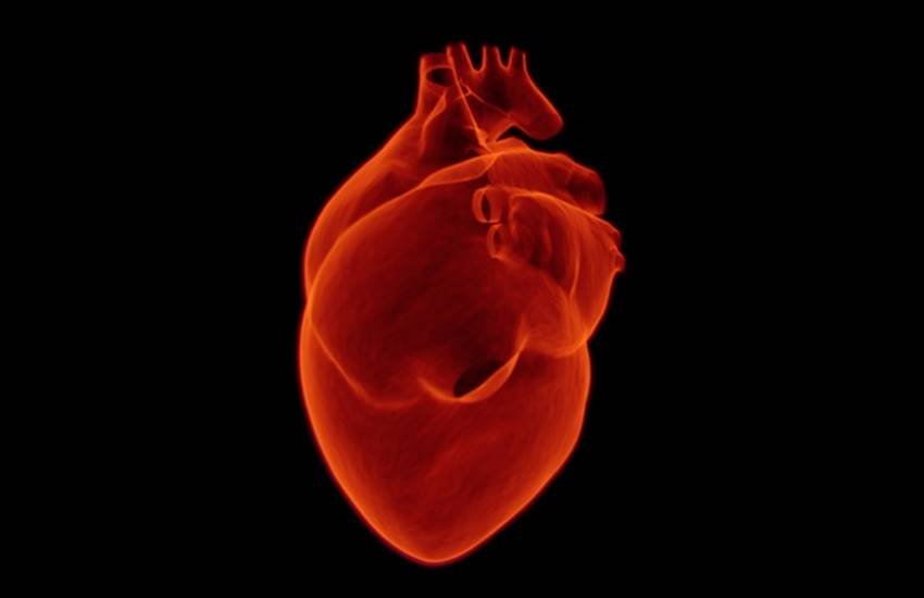 तस्वीर का इस्तेमाल केवल प्रतीकात्मक तौर पर किया गया है। (Image Source: pixabay) तस्वीर का इस्तेमाल केवल प्रतीकात्मक तौर पर किया गया है। (Image Source: pixabay)