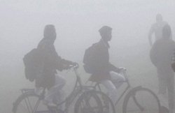 धूल और प्रदूषण से परेशान हैं? इन घरेलू नुस्‍खों से कम करें असर