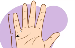 कनिष्ठा उंगली बताती है आपकी आर्थिक स्थिति, जानिए क्या कहती हैं बाकी उंगलियां