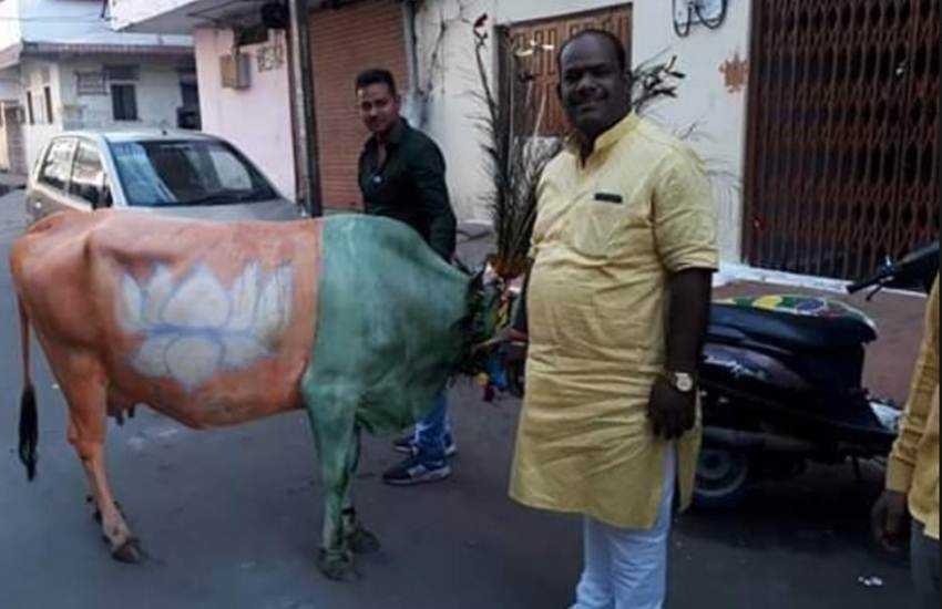 mp election 2018 mp election 2018