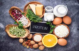 international meatless day, internation meatless day protein vegetarian, vegetarian protein intake options, vegetarian protein quality and quantity, lifestyle, health, latest news, hindi news, jansatta