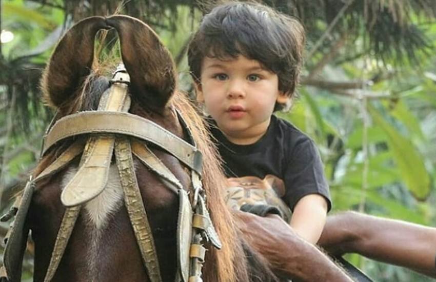 Taimur, Taimur Doll, Taimur Toy, Taimur Ali Khan, Kareena Kapoor Khan, Saif Ali khan, Taimur Ali Khan picture cost, Taimur Ali Khan Latest News, Taimur Ali Khan Latest Pics,तैमूर, तैमूर गुड्डा, तैमूर खिलौना, तैमूर अली खान, सैफ अली खान, करीना कपूर, तैमूर फोटो, तैमूर फोटो प्राइस
