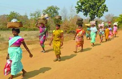 रविवारी मुद्दा: कुदरत का संग-साथ