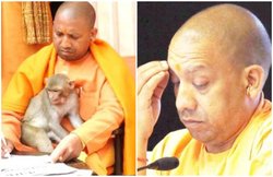 ‘अमेरिकी राष्ट्रपति ने आदित्यनाथ से ईसा मसीह की पूरी जन्मकुंडली मांगी है’, हनुमान को दलित बताने पर ऐसे मजे ले रहे लोग