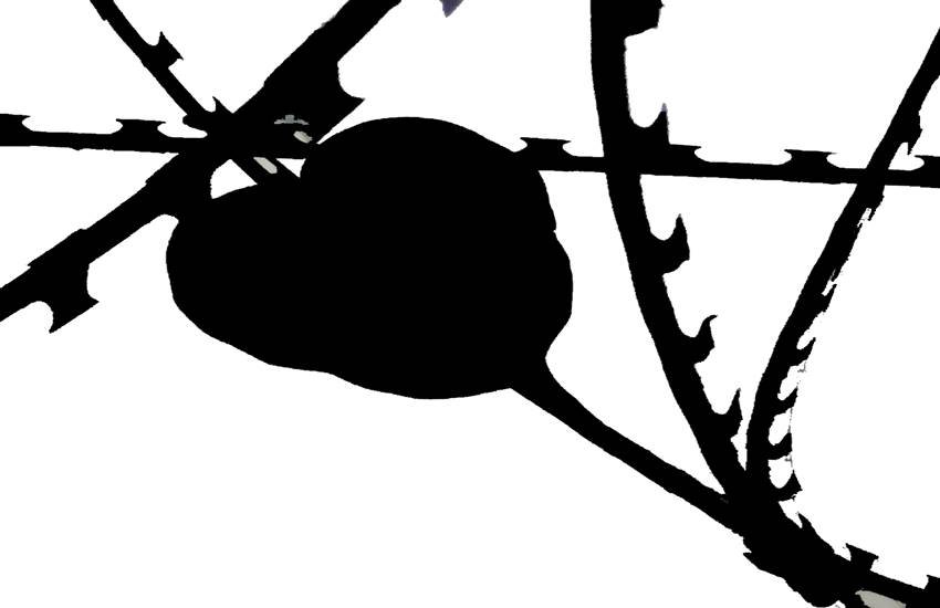 प्रतीकात्मक तस्वीर।