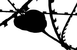 बदहाल बाजार, बेहाल किसान