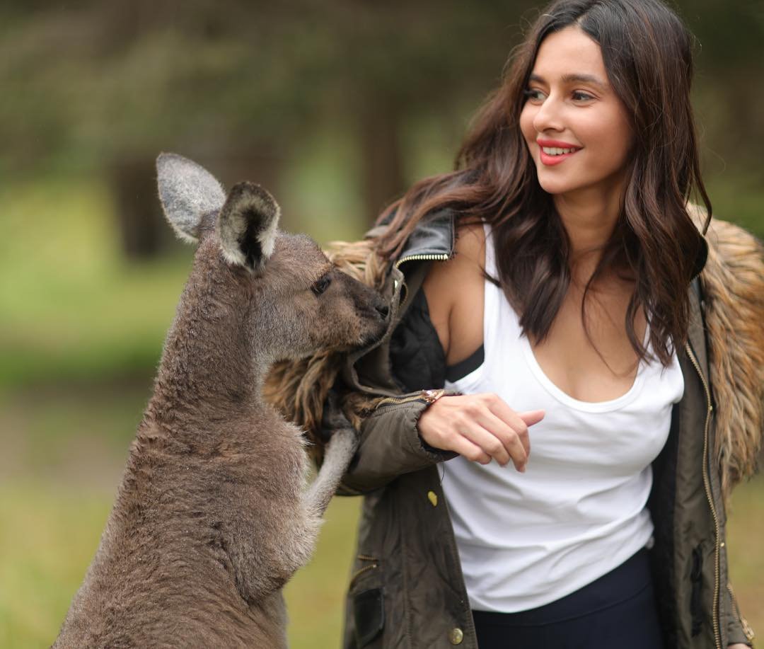 Shibani Dandekar,Farhan Akhtar,Shibani Farhan, Shibani love Affair with farhan, Shibani hot pics, shibani boy friend