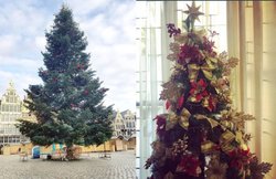 Christmas Day 2018: क्रिसमस ट्री के पीछे क्‍या है कहानी, जानिए ऐतिहासिक महत्‍व