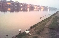 नन्ही दुनिया: कविता और शब्द भेद