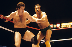 जब जीत की जिद ने रिंग में ही ले ली इन रेसलर्स की जान, पढ़ें WWE के दर्दनाक किस्से