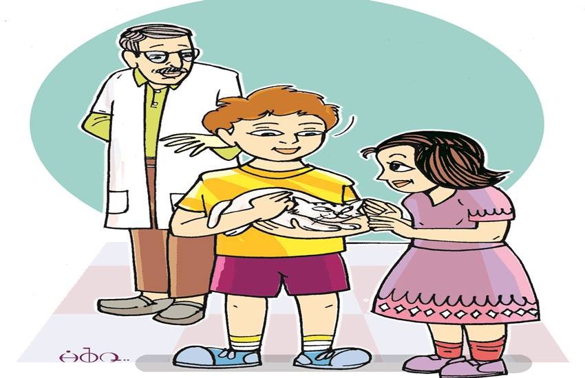 प्रतीकात्मक तस्वीर।