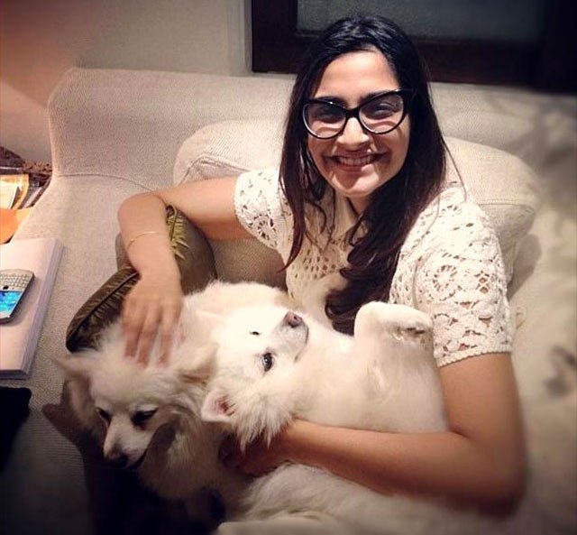 "sonam,kapoor,titled,peta,indias,person,year,animal,welfare