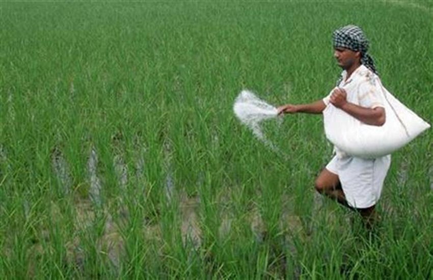 यूरिया- प्रतीकात्मक चित्र 
फोटो सोर्स- फाइनेंसियल एक्सप्रेस 