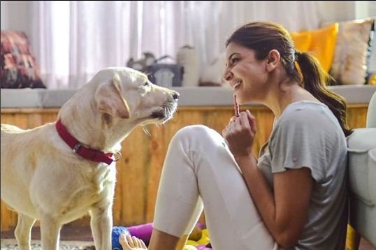 "sonam,kapoor,titled,peta,indias,person,year,animal,welfare