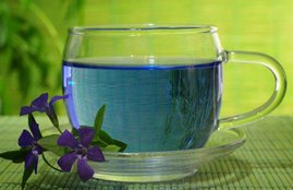 weight loss, weight loss drinks, health benefits of blue tea, blue tea, benefits of blue tea, hormonal balance, detoxification of the body, digestive health, lifestyle, lifestyle news, health, health news, hindi news, news in hindi, jansatta