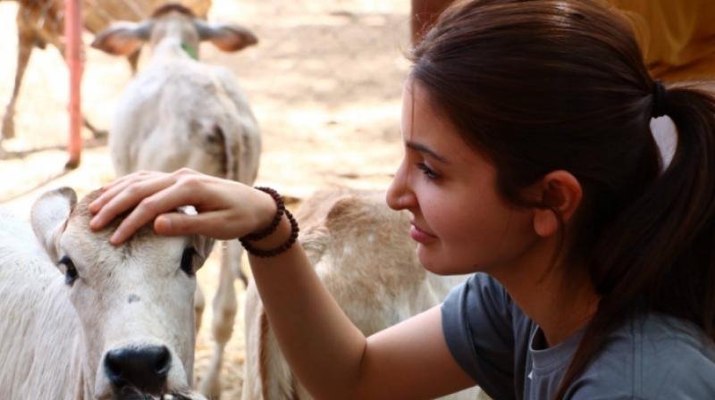 "sonam,kapoor,titled,peta,indias,person,year,animal,welfare