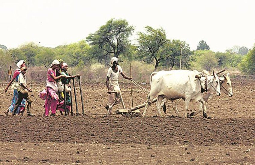 कॉरपोरेट के बैड लोन के आगे कुछ नहीं है किसानों की कर्जमाफी (फोटो सोर्स: एक्सप्रेस आर्काइव) 