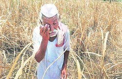 बेबाक बोल: 2019