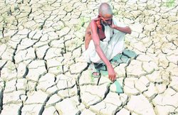 यूपी: दस साल से घाटे में किसान! प्रति किलो लागत है 6 रुपए, बिक रहा 3 से 4 के भाव में