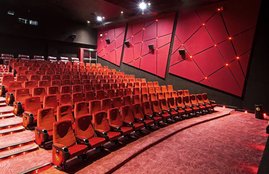 lifestyle, health, reduce dtress, anxiety, stress, depression, health, healthy lifestyle, movies, theater, health news, latest news, hindi news, news in hindi, jansatta news, Jansatta