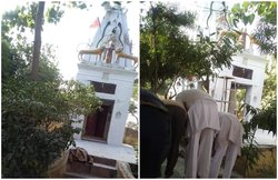 यूपी: जाम में फंसे मुसलमानों की नमाज के लिए हिंदुओं ने खोला शिव मंदिर, सबने की तारीफ