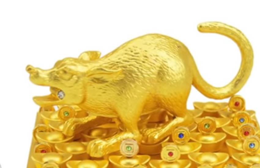 Mongoose, Mongoose facts, Mongoose at home, Mongoose for house, Mongoose Idol, Mongoose Idol at home, Mongoose Idol for house, Mongoose Idol benefits, religion news