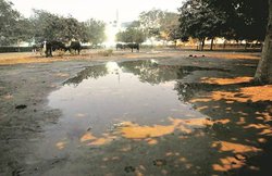नोएडा: जिस पार्क में नमाज रोकी गई, उसे पानी से भर दिया गया, मौलवी बोले- कुछ कर नहीं सकते