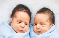 जीन संपादन से क्लोन निर्माण