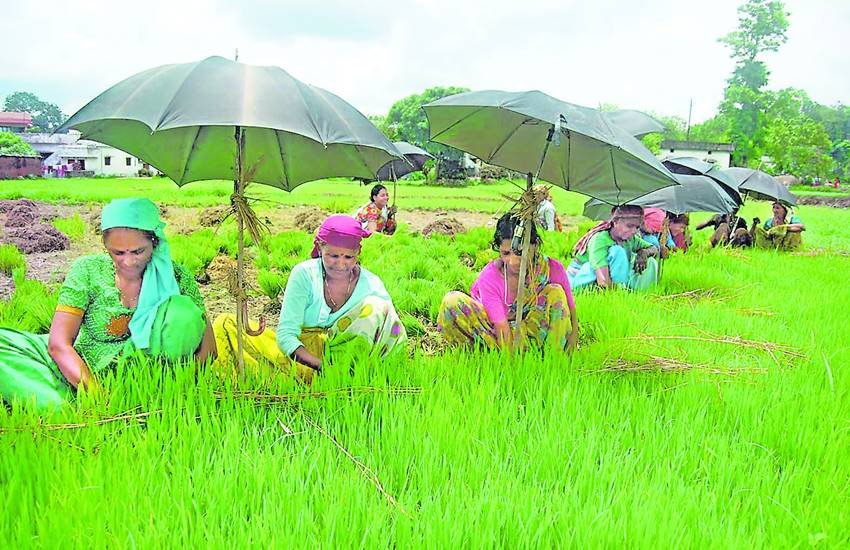 तस्वीर का इस्तेमाल प्रतीकात्मक तौर पर (Source: Express Archives/Pertima Rawat)
