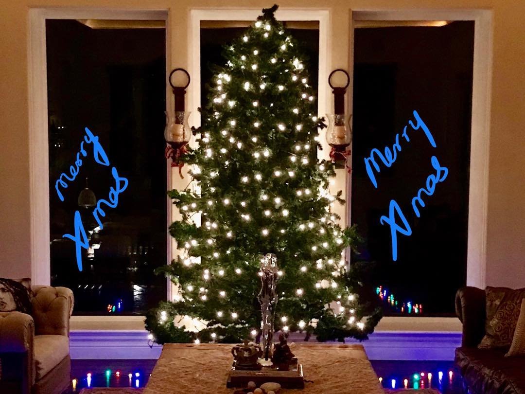 सनी देओल ने भी घर पर क्रिसमस ट्री रखा है।