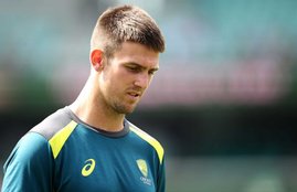 ind vs aus odi series, mitchell marsh, mitchell marsh and australiA, indian team for 1st odi