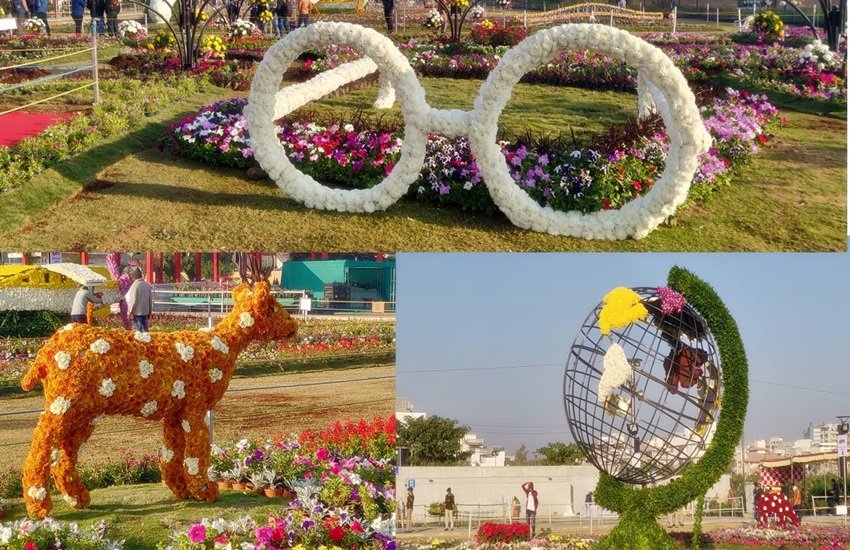 अहमदाबाद- फ्लावर शो 2019, फोटो सोर्स- ट्विटर (@harshoza03)