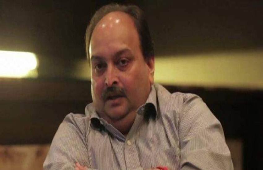 PNB Scam, Mehul Choksi, Alleged Businessman, Antigua, India, High Commision, Indian Passport, Passport, Indian Citizenship, India, Adress, Nirav Modi, Narendra Modi, Elections 2019, Hindi News