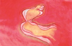 कविताएं: आस्था और विचार, परछाईं की गति