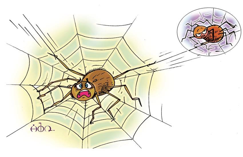 प्रतीकात्मक तस्वीर।