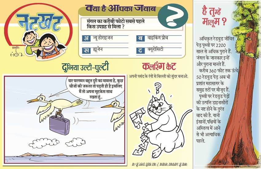 प्रतीकात्मक तस्वीर।