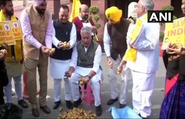 Congress MP, TDP MP, Sell, Potato, Parliament Premises, Parliament, Concern, Punjab Farmers, New Delhi, State News, National News, Hindi News, कांग्रेस, प्रदर्शन, संसद, आलू, बेचे, टीडीपी, कांग्रेस, सांसद, दिल्ली समाचार, हिंदी समाचार