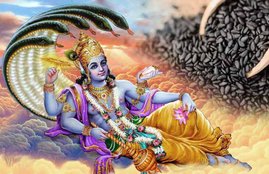 Shattila Ekadashi 2019, Shattila Ekadashi, Til, Six Kinds Of Til , Shattila Ekadashi Vrat, Shattila Ekadashi Vrat Auspicious Muhurat, Shattila Ekadashi Vrat Katha, Shattila Ekadashi Vrat Vidhi, Lord Vishnu, Importance Of Til, Religion News