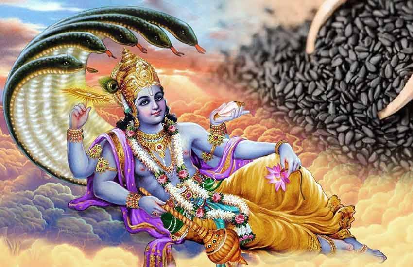 Shattila Ekadashi 2019, Shattila Ekadashi, Til, Six Kinds Of Til , Shattila Ekadashi Vrat, Shattila Ekadashi Vrat Auspicious Muhurat, Shattila Ekadashi Vrat Katha, Shattila Ekadashi Vrat Vidhi, Lord Vishnu, Importance Of Til, Religion News