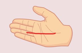 Palmistry, Fate Line, Coronal line, Life Line, Fate, Government Job, Government Job Connection in Palmistry, Fate Line Connection Government Job, Government Job According To Palmistry, Palm Reading, Religion News