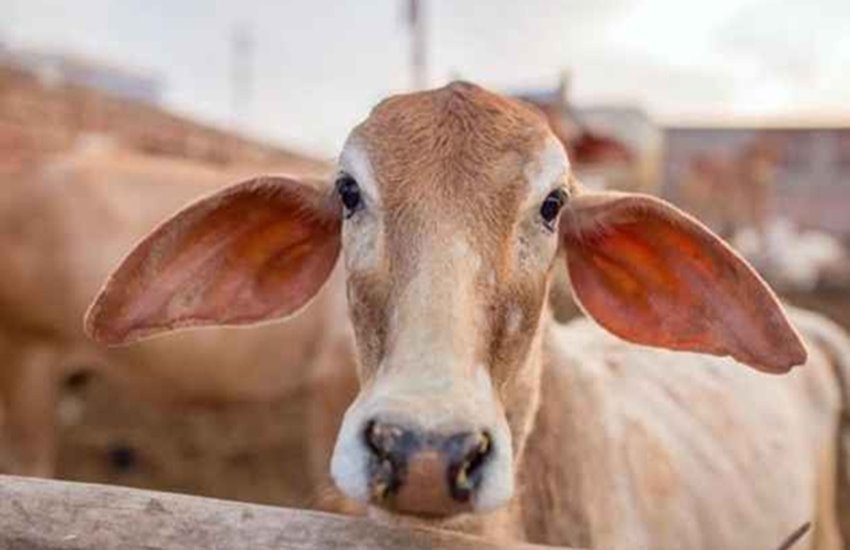 प्रतीकात्मक चित्र 
फोटो सोर्स- फाइनेंसियल एक्सप्रेस 