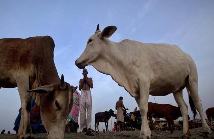 प्रतीकात्मक तस्वीर (File)