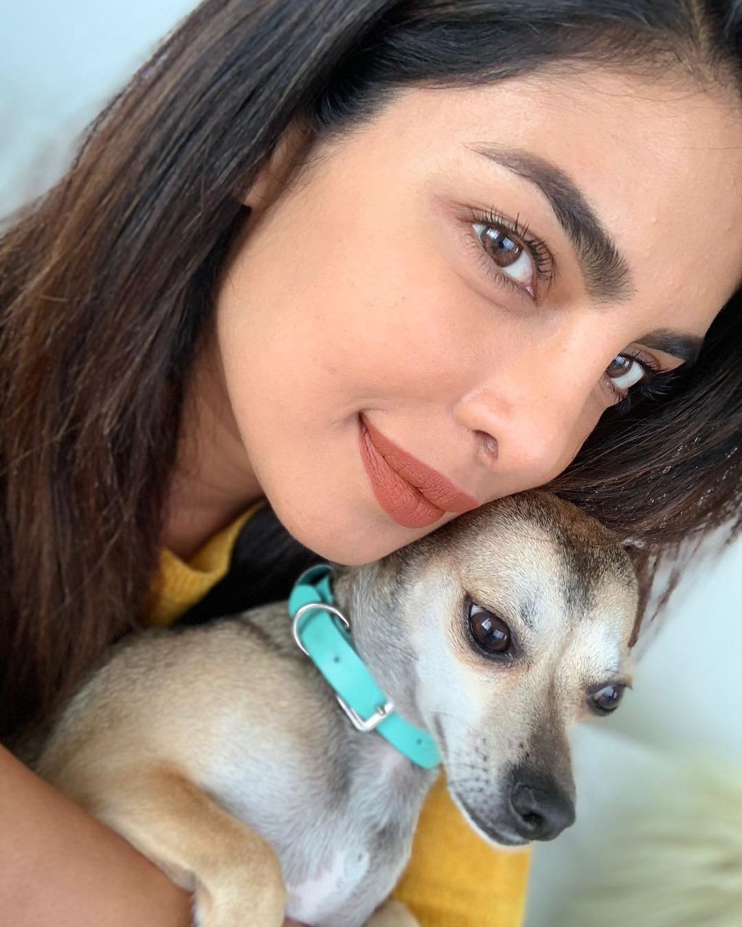 "priyanka chopra, diana chopra, priyanka chopra dog diana chopra, priyanka chopra dog diana chopra rs 36 lakh jacket, diana chopra rs 36 lakh jacket, diana chopra rs 36 lakh moncler jacket, priyanka chopra dog rs 36 lakh jacket, priyanka chopra dog moncler rs 36 lakh jacket, priyanka chopra nick jonas honeymoon, priyanka chopra nick jonas honeymoon pics,