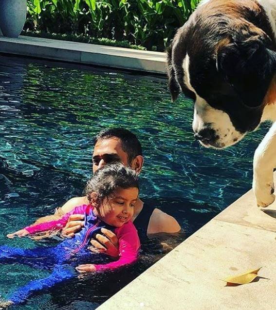 MS Dhoni, Ziva Dhoni, cricket, Indian national cricket team, cricket news