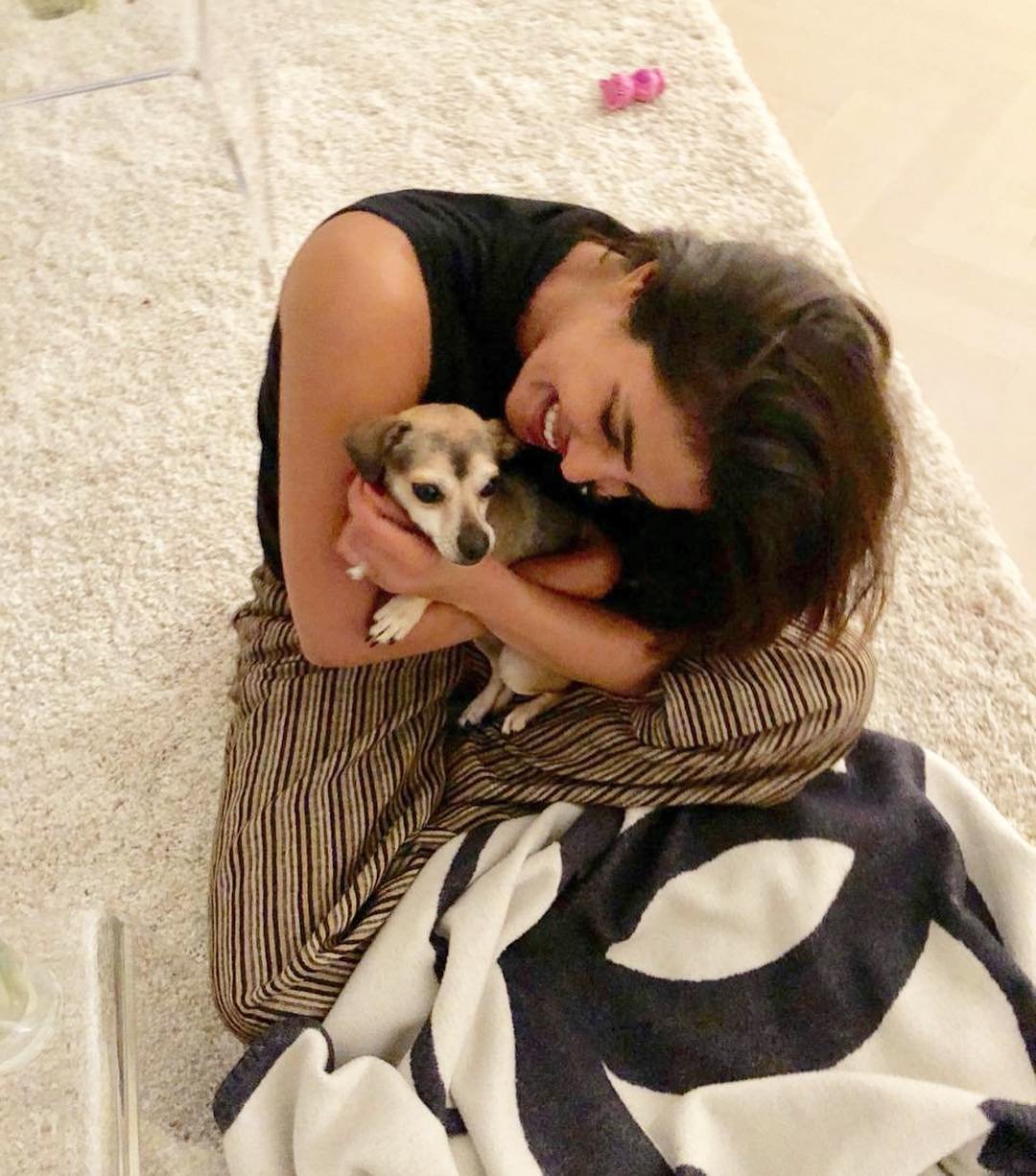 "priyanka chopra, diana chopra, priyanka chopra dog diana chopra, priyanka chopra dog diana chopra rs 36 lakh jacket, diana chopra rs 36 lakh jacket, diana chopra rs 36 lakh moncler jacket, priyanka chopra dog rs 36 lakh jacket, priyanka chopra dog moncler rs 36 lakh jacket, priyanka chopra nick jonas honeymoon, priyanka chopra nick jonas honeymoon pics,